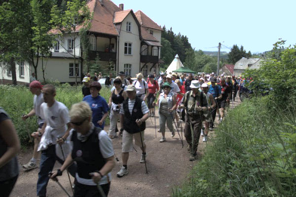 I Festiwal Nordic Walking w Sokołowsku